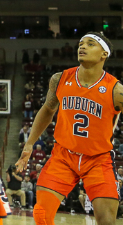 Auburn Tigers Basketball